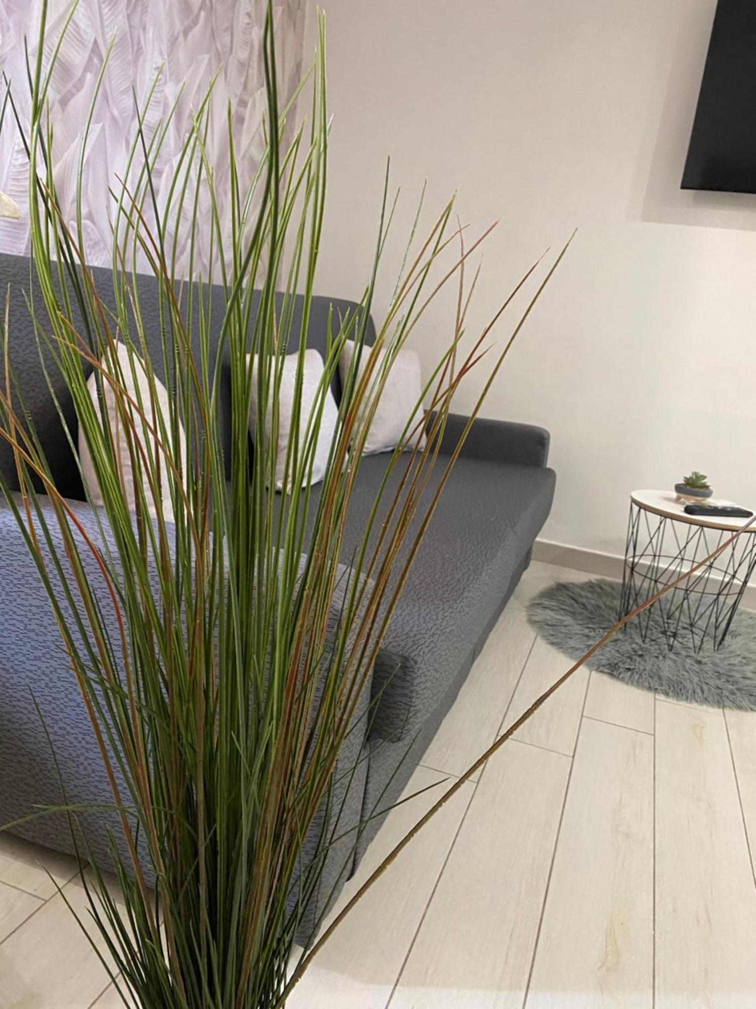 Daly Home Intero Appartamento Mugnano di Napoli Extérieur photo